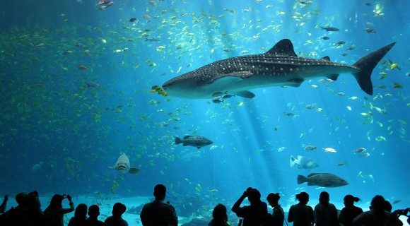 Kish tourist attractions